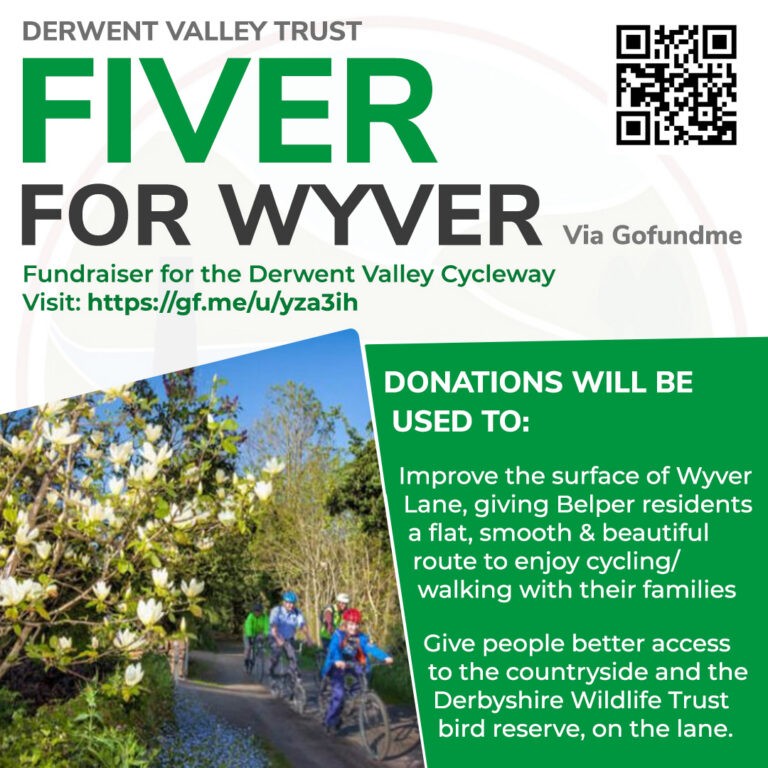Fiver for Wyver Fundraiser