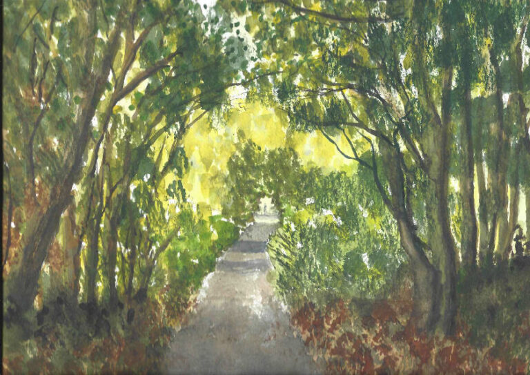 Watercolour paintings of the Cycleway route