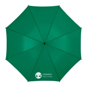 Umbrella